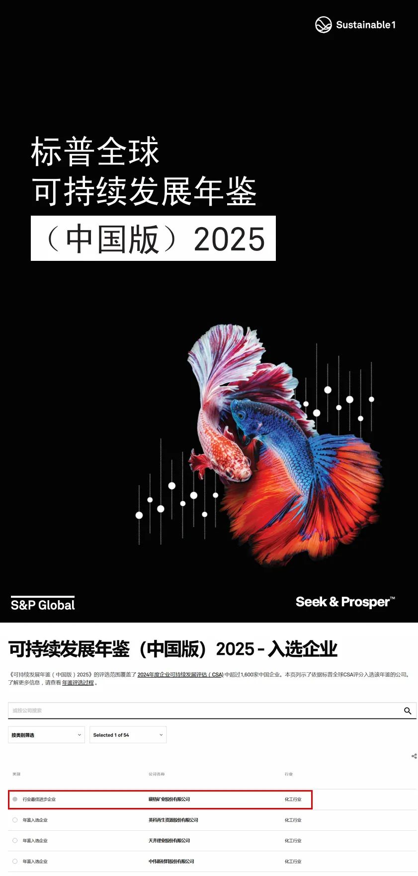 龙8头号玩家矿业荣登CSA“最佳进取企业”榜单，入选可持续发展年鉴2025