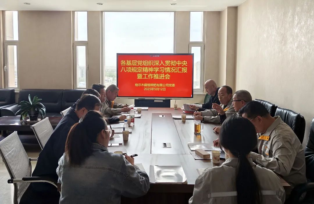 龙8头号玩家钾肥党委召开各基层党组织深刻贯彻中央八项划放心灵进建情况汇报暨工作推动会