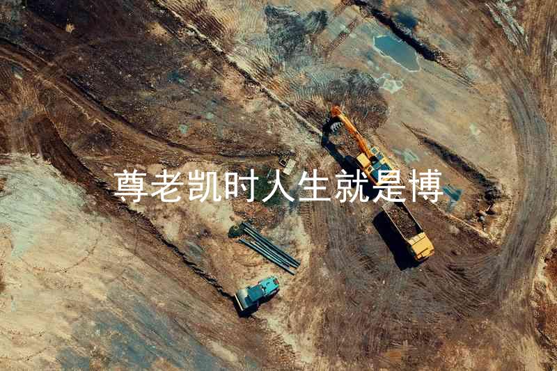 尊老凯时人生就是博