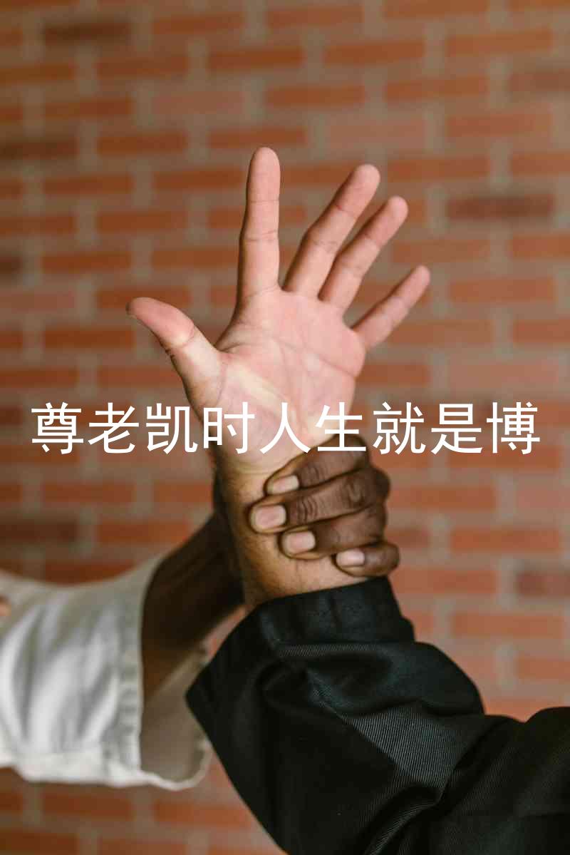 尊老凯时人生就是博